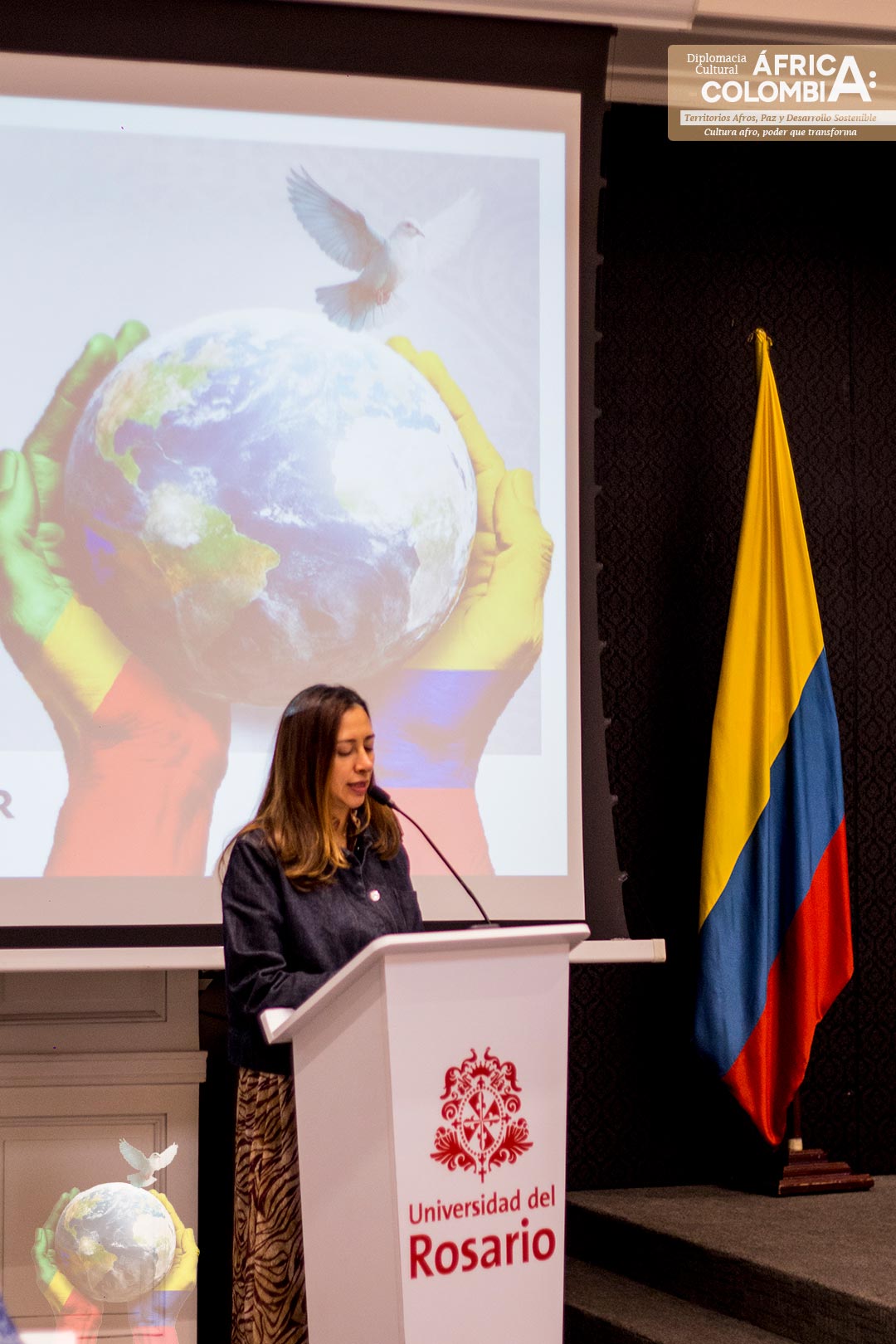 CUMBRE-AFRICA---COLOMBIA-DIA-2-16